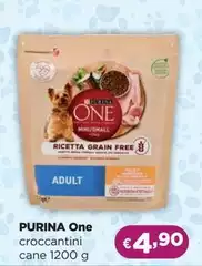 Purina - One Croccantini
