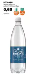 Recoaro - Acqua Brillante