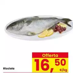 Ricciola