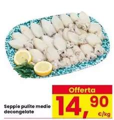 Seppie Pulite Medie Decongelate