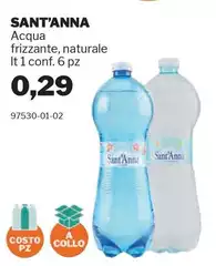 Sant'anna - Acqua Frizzante