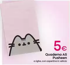 Quaderno A5 Pusheen