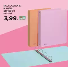 Raccoglitore 4 Anelli