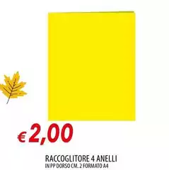 Raccoglitore 4 Anelli