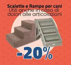 Scalette E Rampe Per Cani