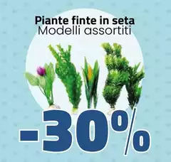Piante Finte In Seta