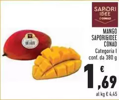 Sapori - Mango &Idee