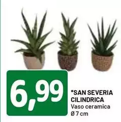 Cilindrica