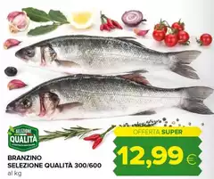 Branzino Selezione Qualità
