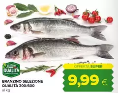 Branzino Selezione Qualità 300/600