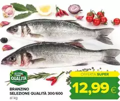Branzino Selezione Qualità 300/600