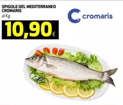 Cromaris - Spigole Del Mediterraneo