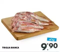 Triglia Bianca