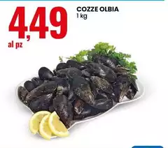 Olbia - Cozze