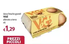 Vege - Uova Fresche Grandi Allevate A Terra
