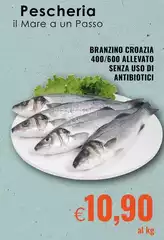 Mare - Branzino Croazia