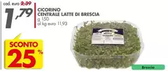 Cicorino Centrale Latte Di Brescia
