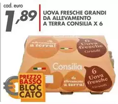 Consilia - Uova Fresche Grandi Da Allevamento A Terra