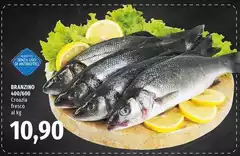 Branzino