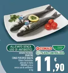 Conad - Branzino