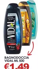 Vidal - Bagnodoccia