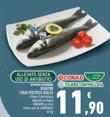 Conad - Branzino