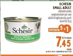 Schesir - Small Adult