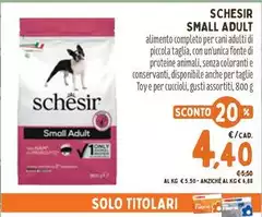Schesir - Small Adult