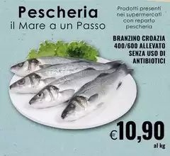 Mare - Branzino Croazia