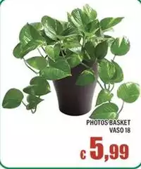 Photos Basket Vaso 18