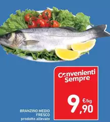 Branzino Medio Fresco