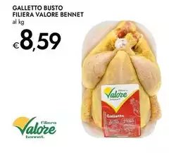 Galletto -  Busto Filiera Valore Bennet