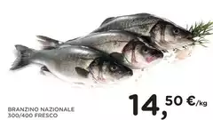 Branzino Nazionale 300/400 Fresco