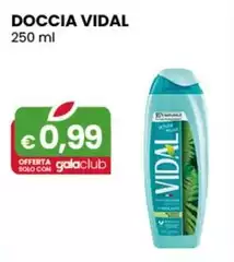Vidal - Doccia