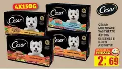 Cesar - Multipack Vaschette 4x150g Esienze E Gusti Assortiti