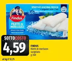 Findus - Filetti Di Merluzzo Surgelato