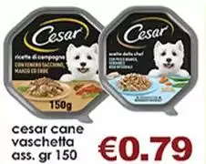Cesar - Cane Vaschetta