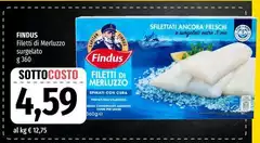 Findus - Filetti Di Merluzzo Surgelato