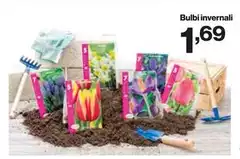 Bulbi Invernali