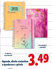 Agenda, Diario Scolastico O Quaderno A Spirale