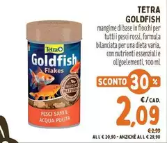 Tetra -  Goldfish