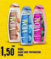 Vidal - Bagno