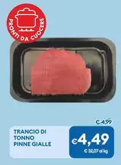 Trancio Di Tonno Pinne Gialle