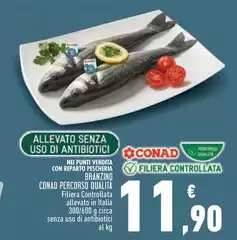 Conad - Branzino