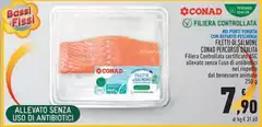 Bassi - Filetti Di Salmone Percorso Qualità