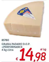 Grana Padano -  D.O.P. +Performance