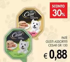 Cesar - Pate