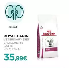 Royal Canin - Veterinary Diet Crocchette Gatto