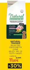 Natural Trainer - Selected Crocchette Cane 