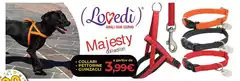 Lovedi - Collari/Pettorine/Guinzagli